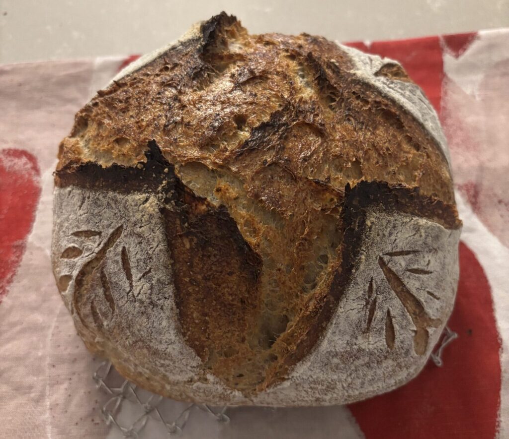 A baked sourdough loaf from a great sourdough recipe sits on the counter